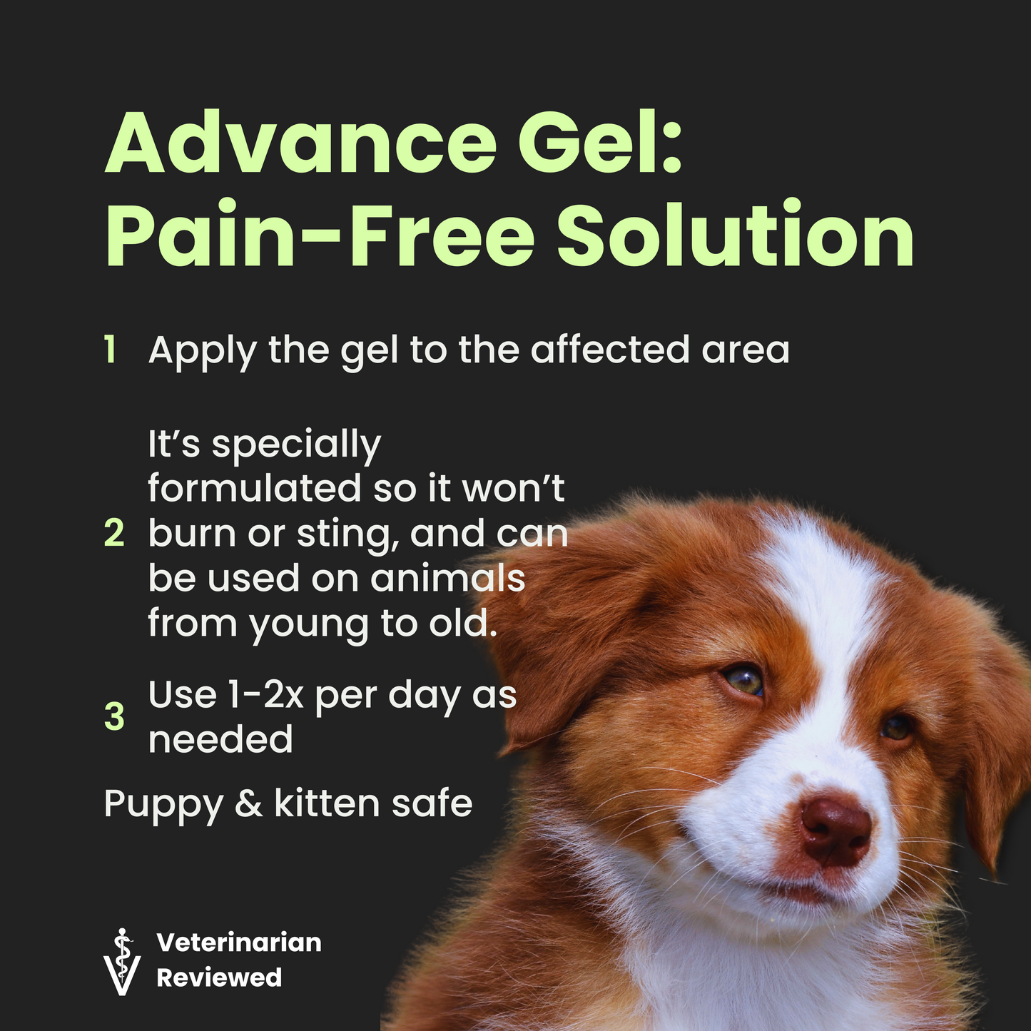 Stem Gel