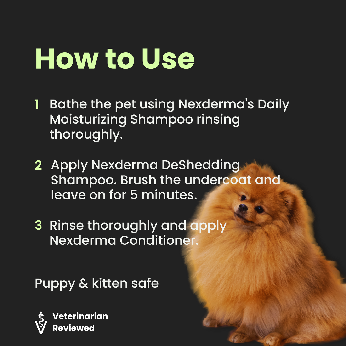 DeShedding Shampoo