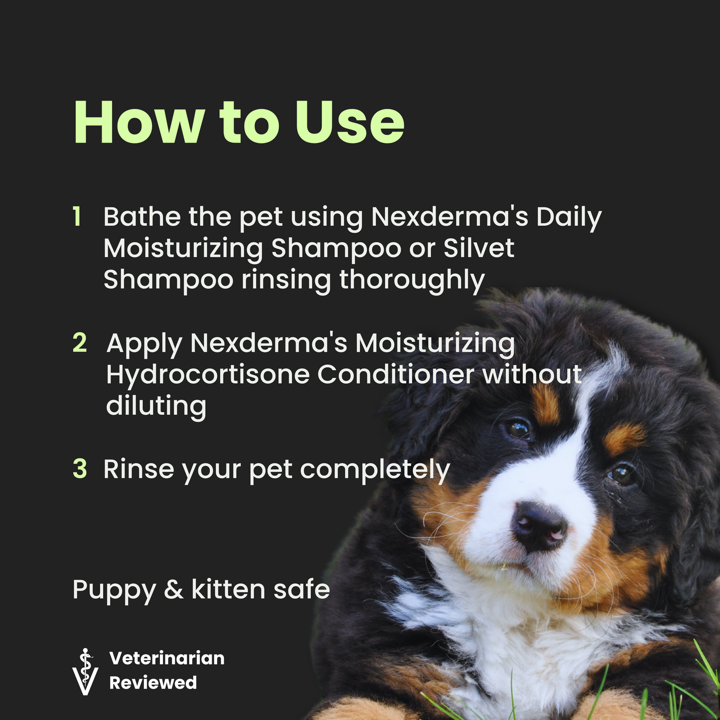 Moisturizing Conditioner