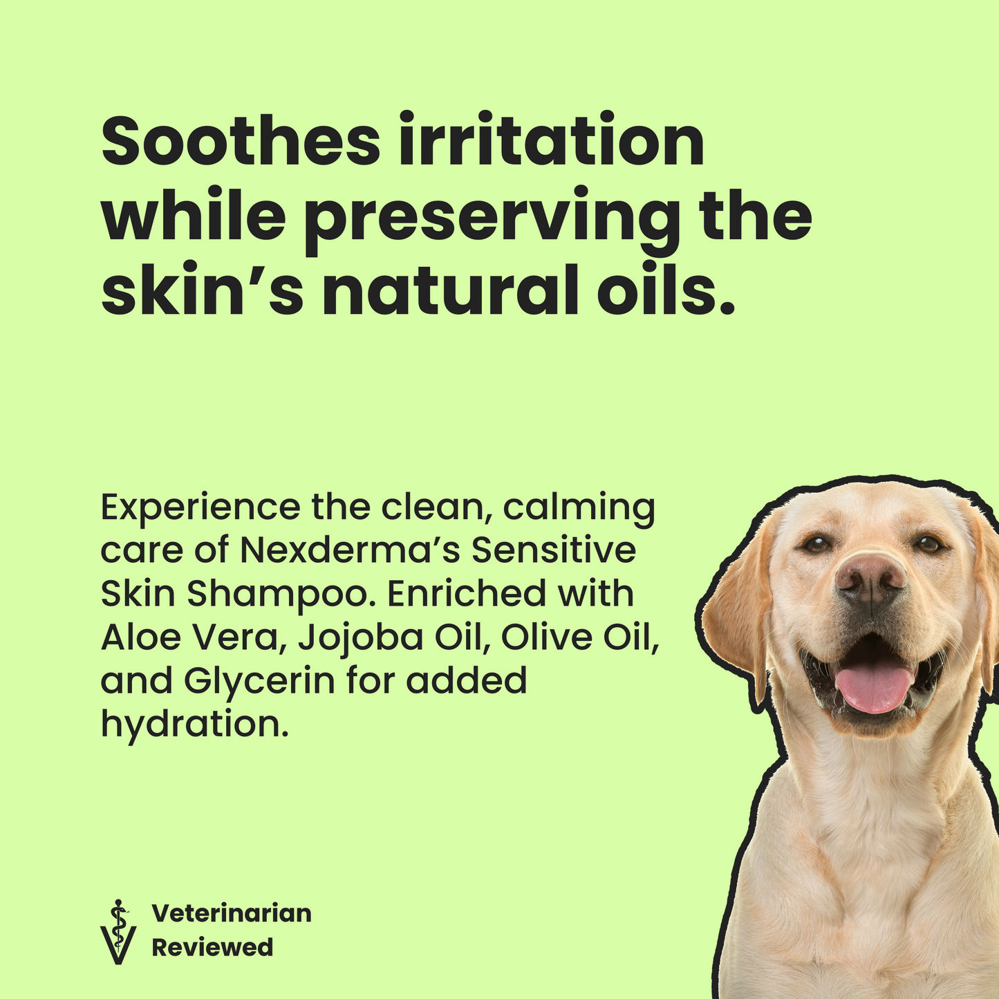 Sensitive Skin Shampoo