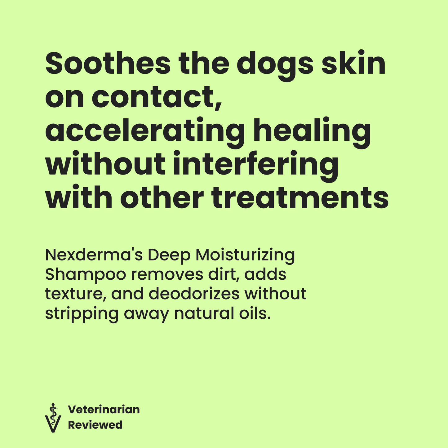 Deep Moisturizing Shampoo
