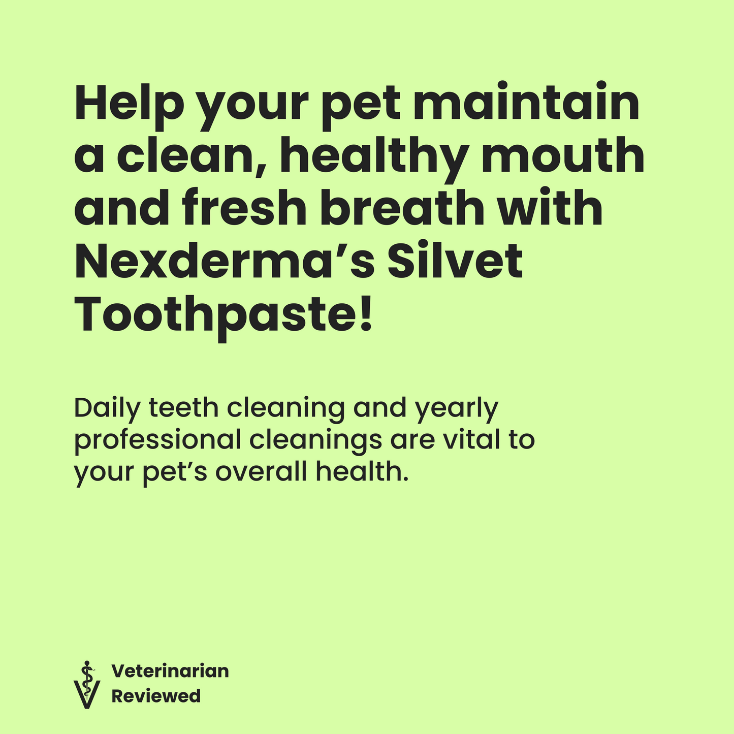 Silvet Toothpaste