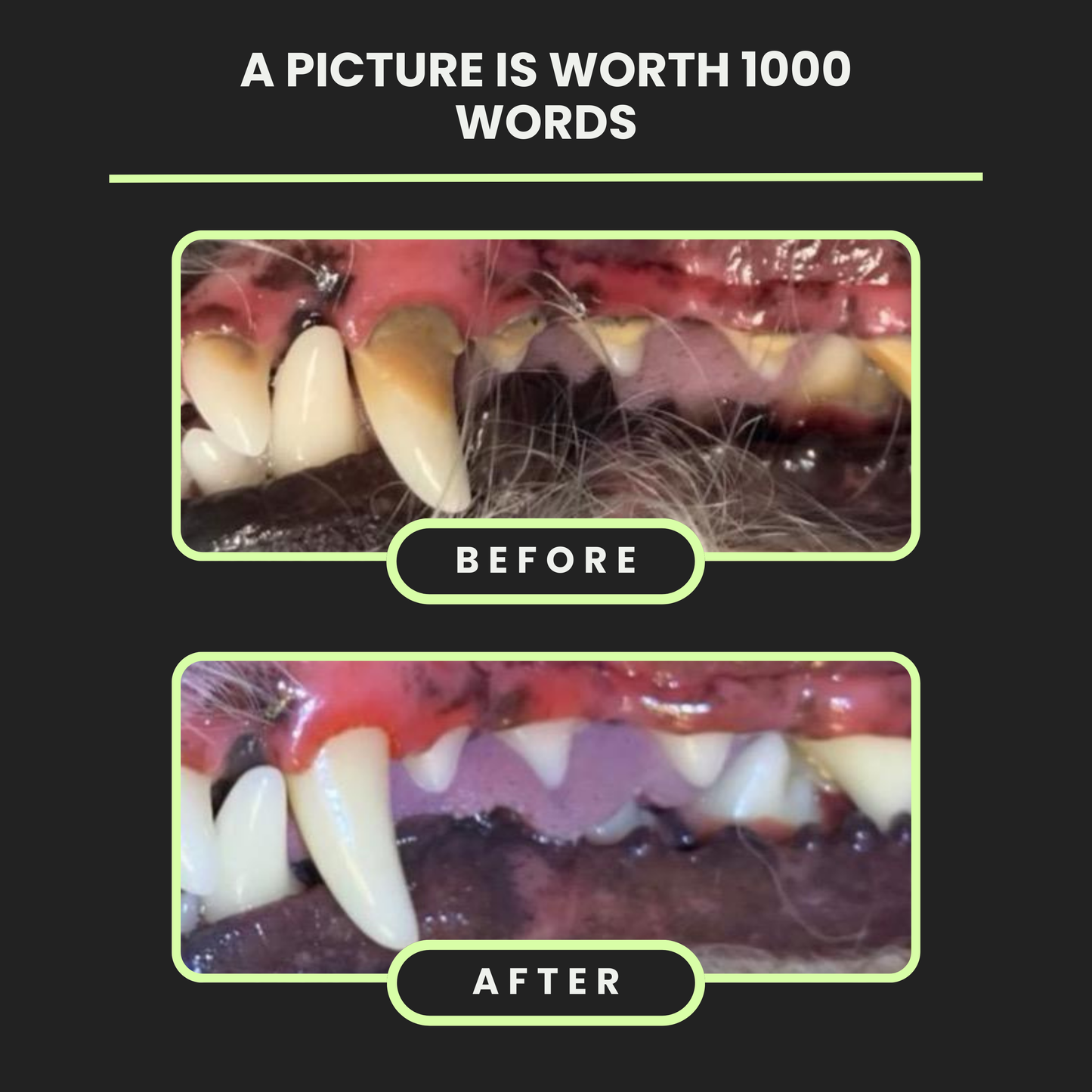 Silvet Toothpaste