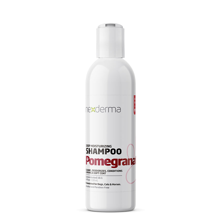 Deep Moisturizing Shampoo