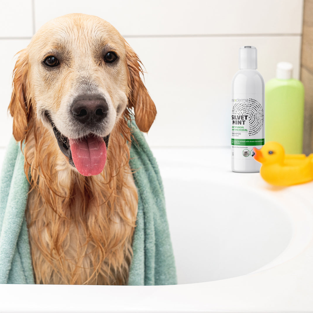 Nexderma Animal Products For Pets