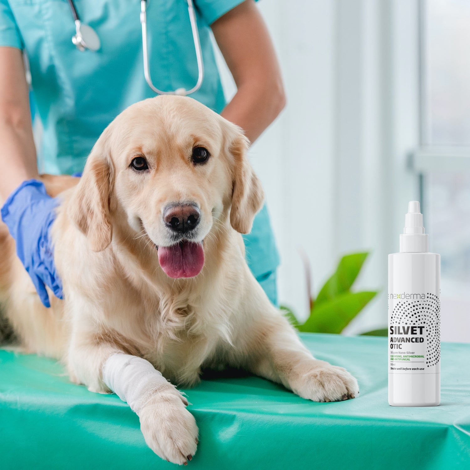 Dog Ear Wound Cleaner Nexderma