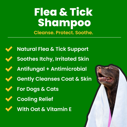 Flea & Tick Shampoo