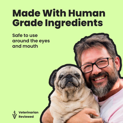 Flea & Tick Shampoo