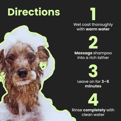 Flea & Tick Shampoo