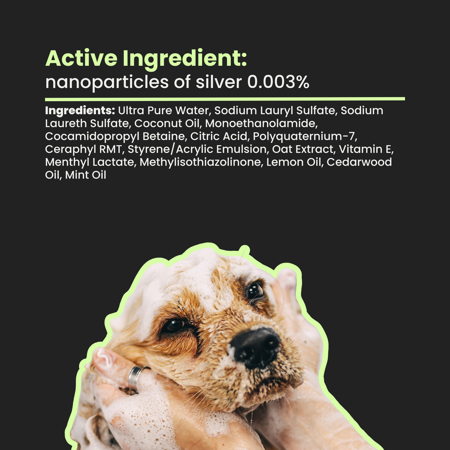 Flea & Tick Shampoo