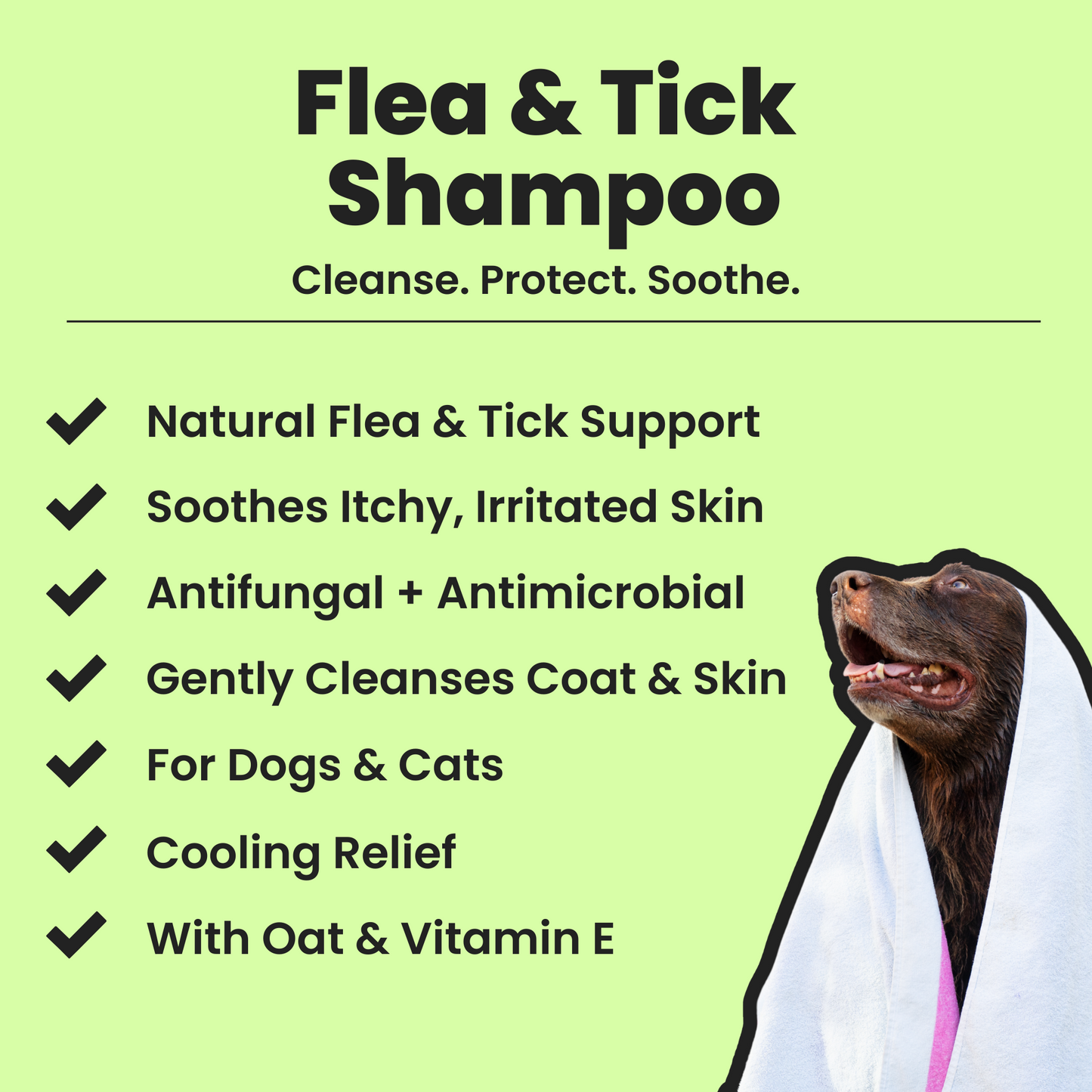 Flea & Tick Shampoo
