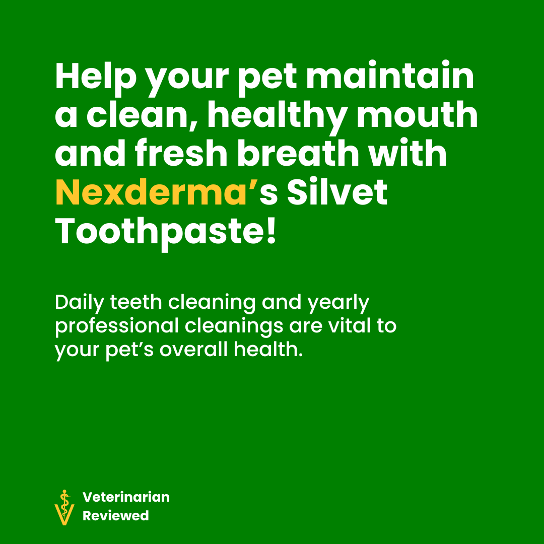 Nexderma Toothpaste | Daily Oral Care for Pets