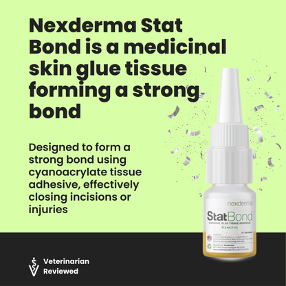 Stat Bond