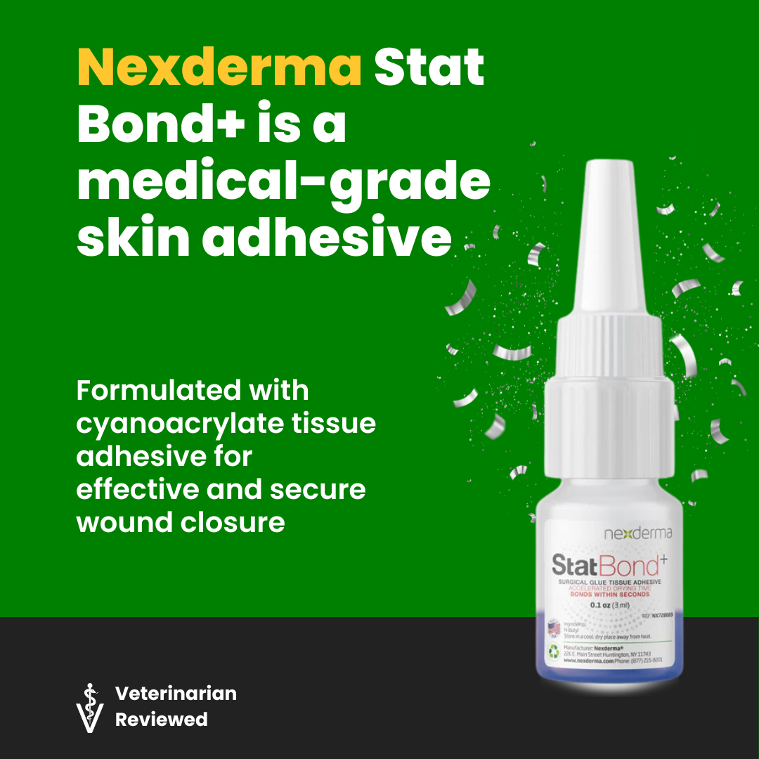 StatBond+ Tissue Adhesive