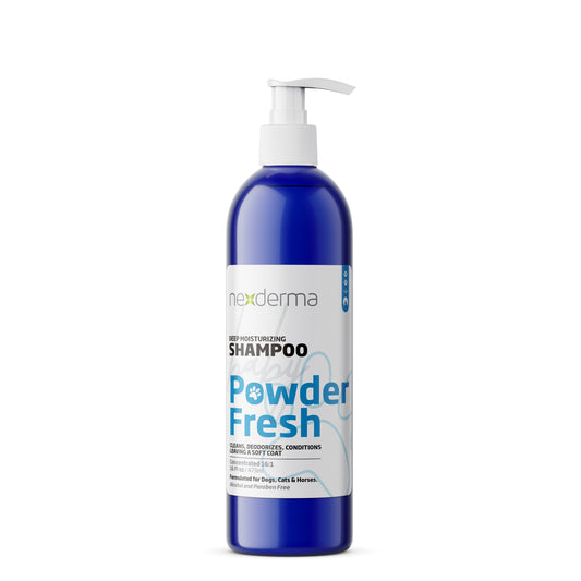 Deep Moisturizing Shampoo Powder Fresh Scent