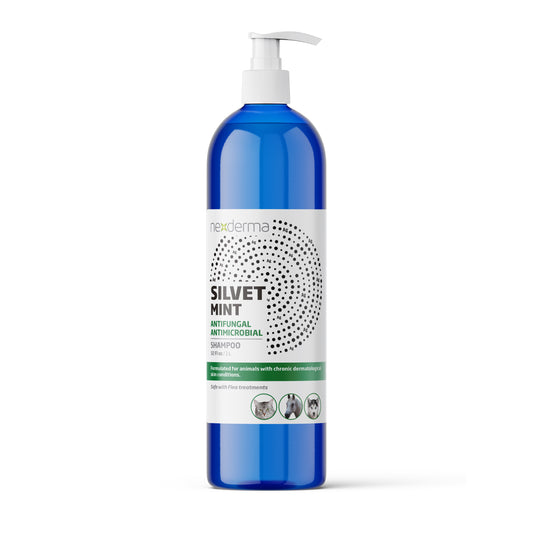 Silvet Antifungal Antimicrobial Shampoo Mint Scent