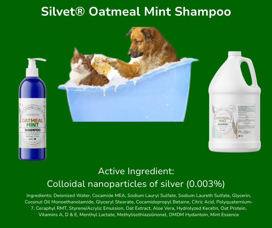 Silvet® Oatmeal Mint Shampoo