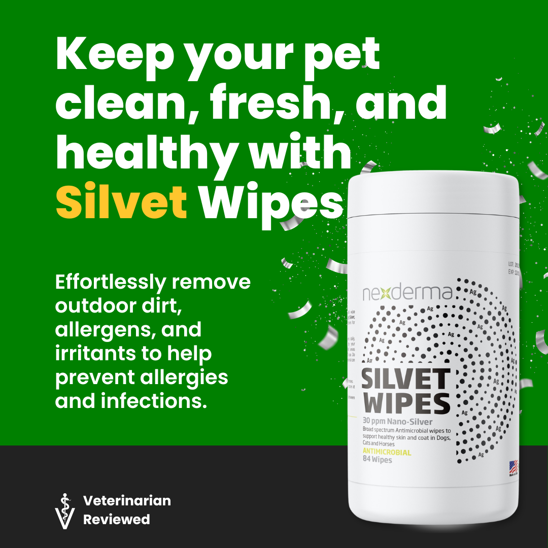 Silvet® Wipes