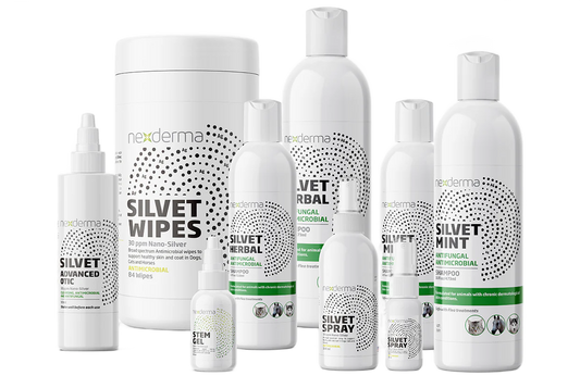 Silvet Bundle