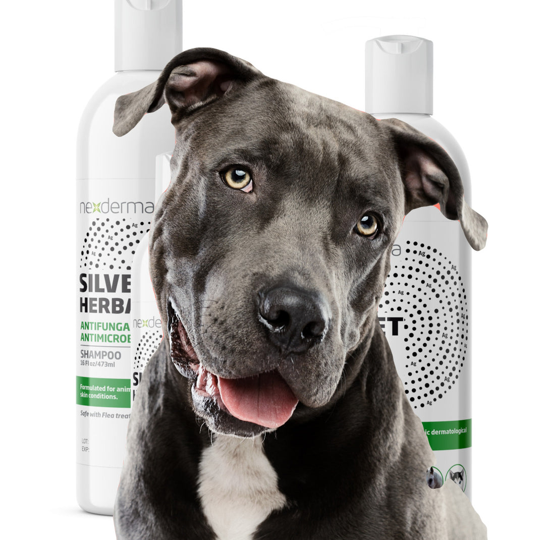 Best Shampoo For Pitbulls Nexderma